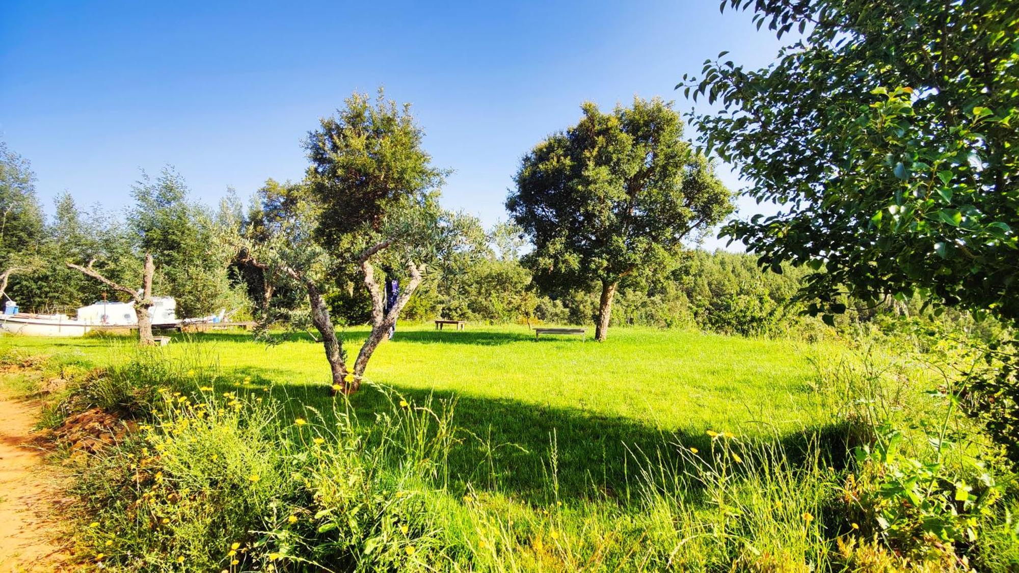 Casa Florestal - Pure Nature Cabins Fatela Kültér fotó